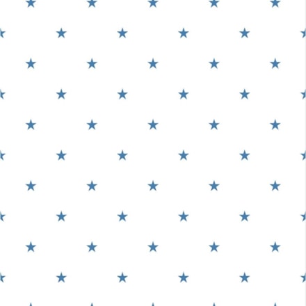 Tapet Duro 1900 Star 397-03