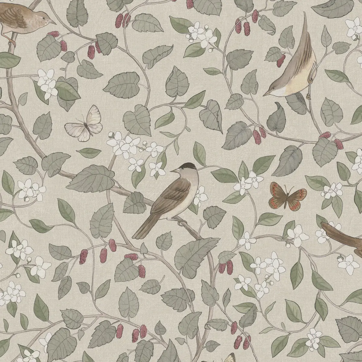 Tapet Special Edition Flowery Sångfåglar 2056