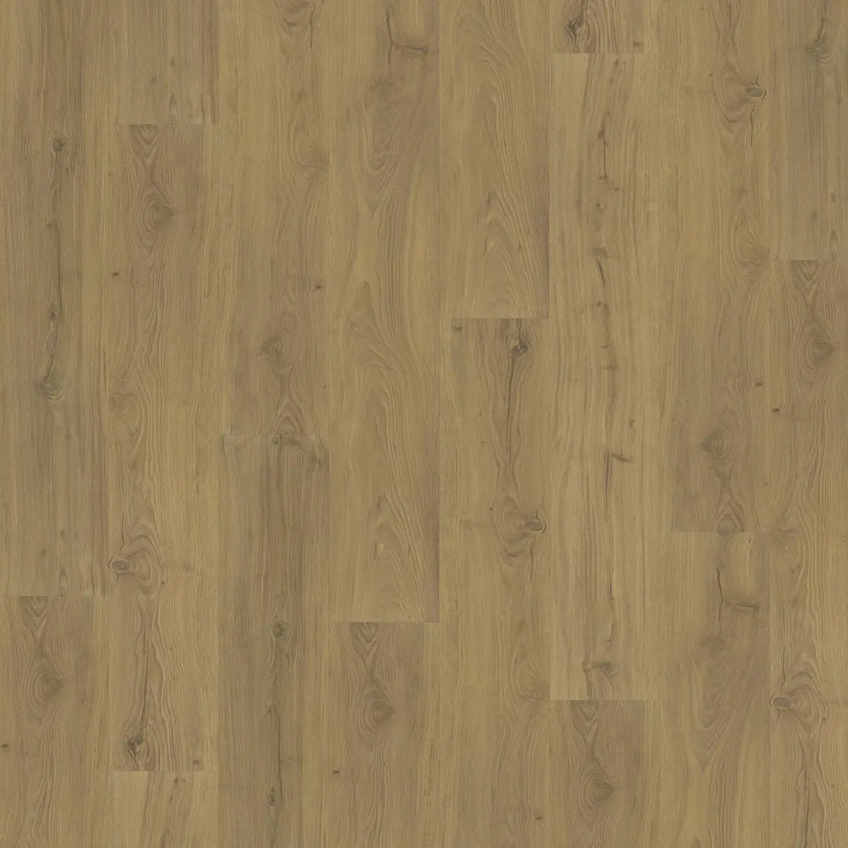 Vinylgolv Foxall Clw 218