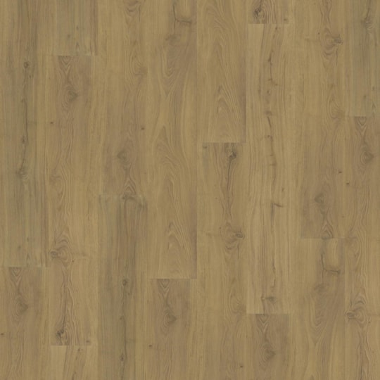 Vinylgolv Foxall Clw 218