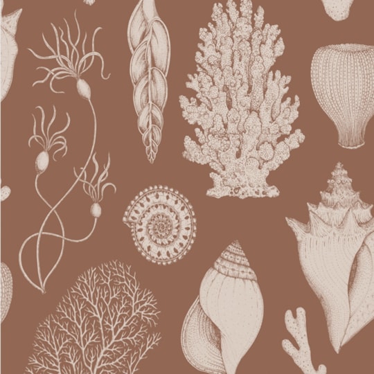 Tapet Katie Scott Animals 100236677