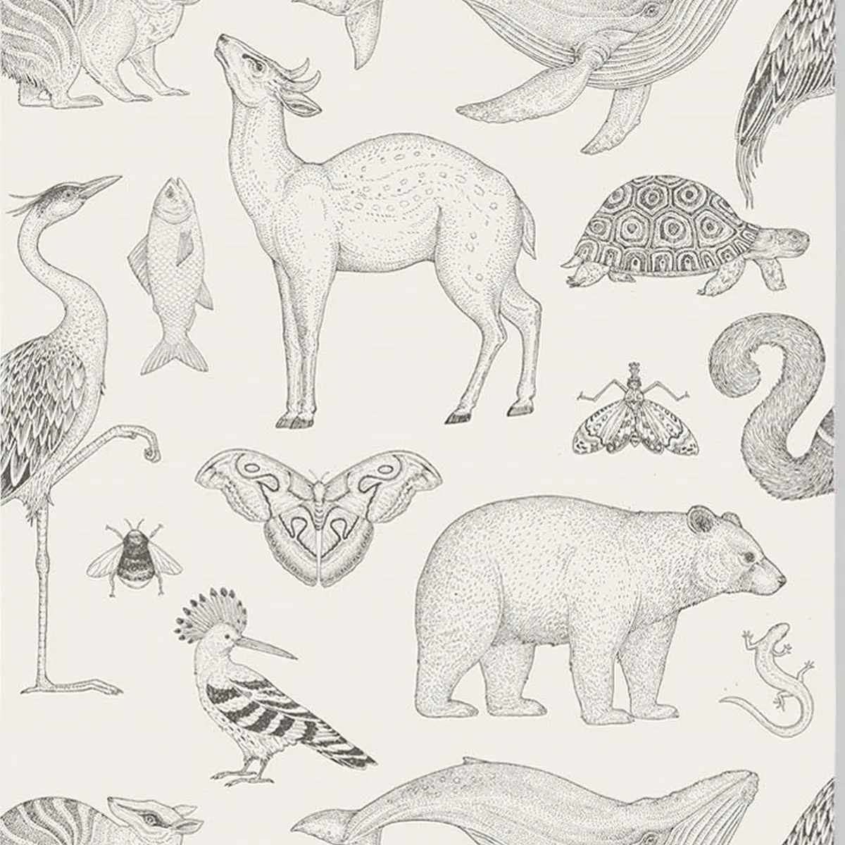 Tapet Katie Scott Animals 1100821768