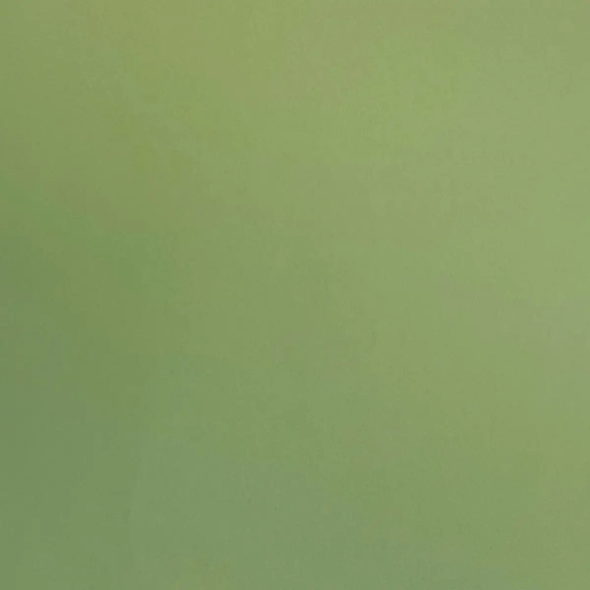 Tapet Modern Classics II Enfärgad 901-65