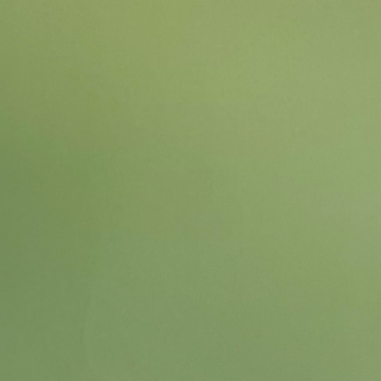 Tapet Modern Classics II Enfärgad 901-65