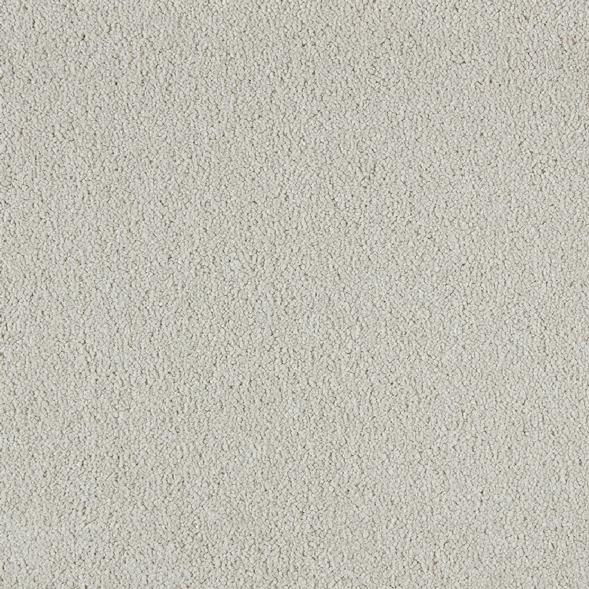Heltäckningsmatta Soft Distinction Biscuit 242 400cm