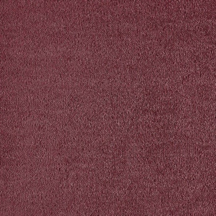 Heltäckningsmatta Dream Coral 2 122 400cm