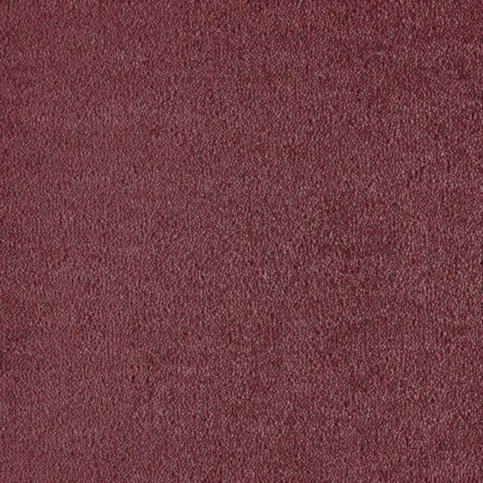 Heltäckningsmatta Dream Coral 2 122 400cm