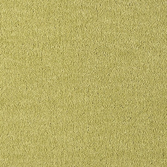 Heltäckningsmatta Dream Curry 1 541 400cm