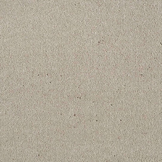 Heltäckningsmatta Dream Rolling Fog 251 500cm