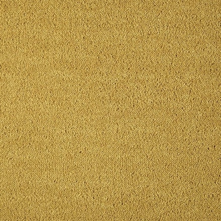 Heltäckningsmatta Dream Gold Leaf 1 371 500cm