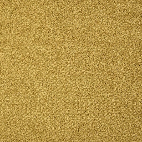 Heltäckningsmatta Dream Gold Leaf 1 371 500cm