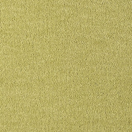 Heltäckningsmatta Dream Curry 1 541 500cm