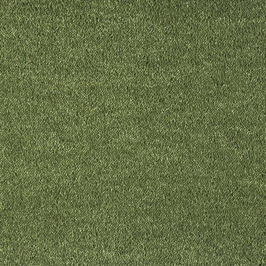 Heltäckningsmatta Dream Moss 1 591 500cm