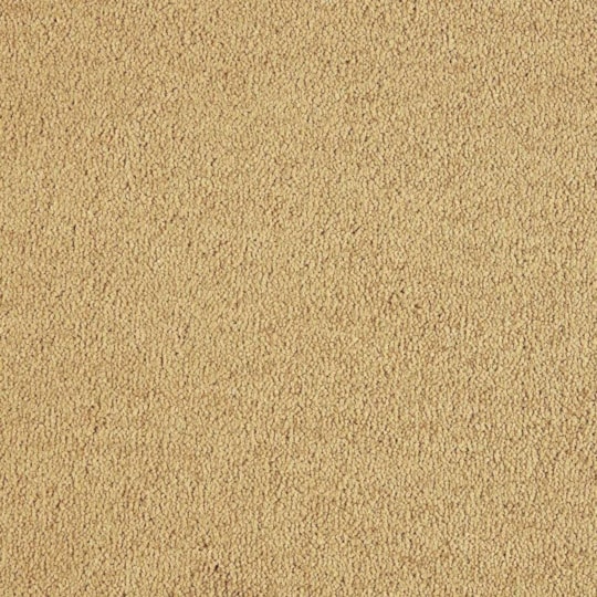 Heltäckningsmatta Lounge Gold Leaf 1 371 500cm