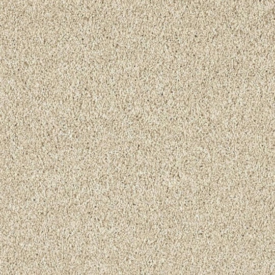 Heltäckningsmatta Euphoria Magnolia 250 400cm