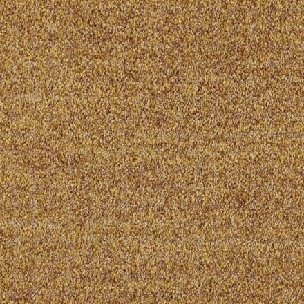 Heltäckningsmatta Euphoria Gold Leaf 370 400cm