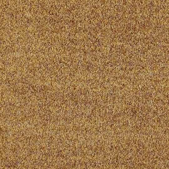 Heltäckningsmatta Euphoria Gold Leaf 370 400cm