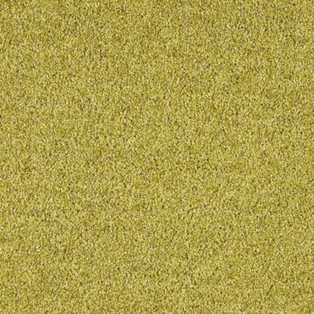 Heltäckningsmatta Euphoria Curry 540 400cm