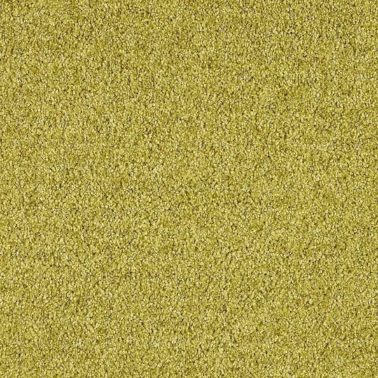 Heltäckningsmatta Euphoria Curry 540 400cm