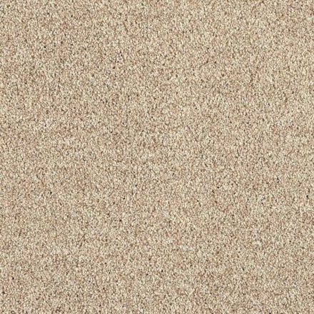 Heltäckningsmatta Euphoria Camel 260 500cm