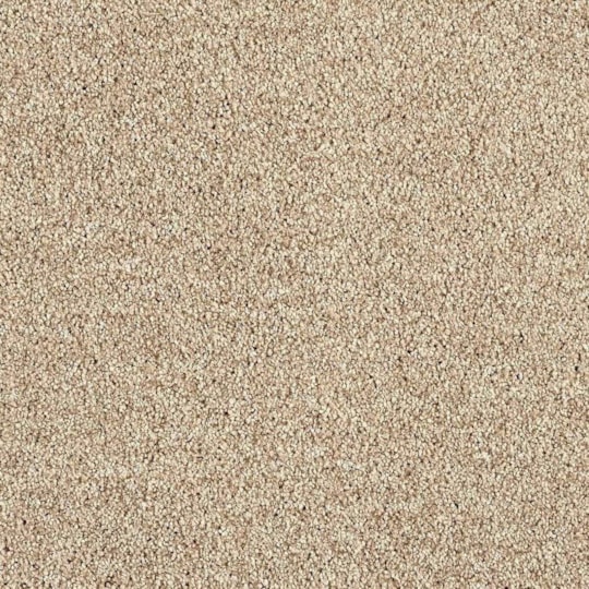 Heltäckningsmatta Euphoria Camel 260 500cm