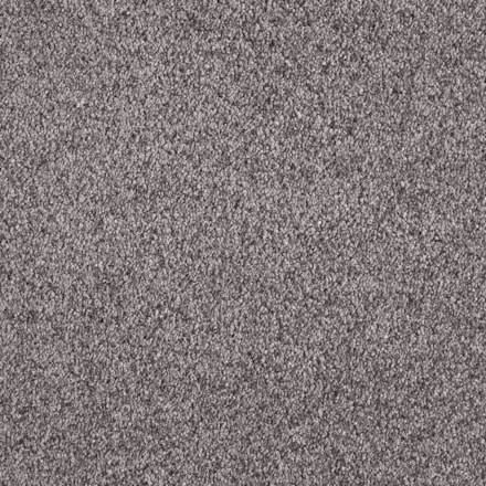 Heltäckningsmatta Euphoria Ash 830 500cm