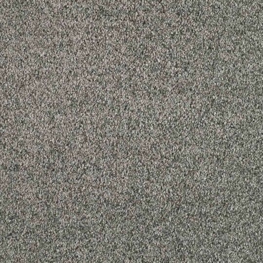 Heltäckningsmatta Euphoria Moonbeam 850 500cm