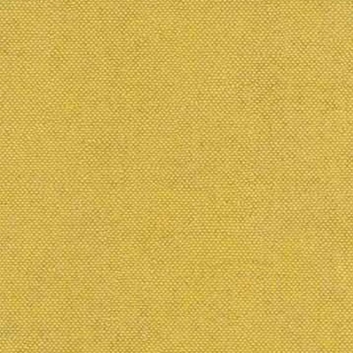 Tapet Colours Lys Acacia Clr005