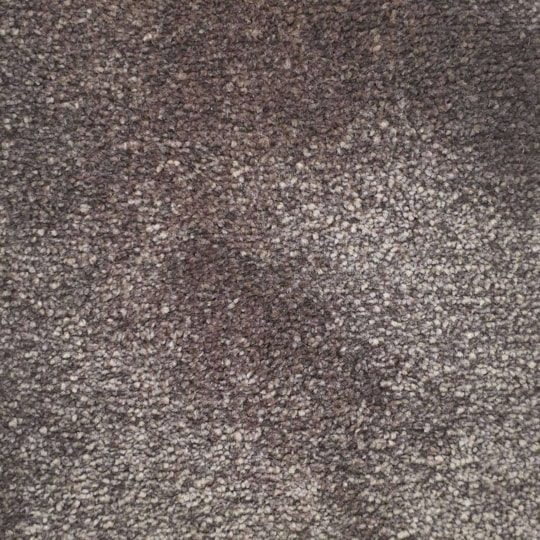 Heltäckningsmatta Superior 120 400cm, Brun