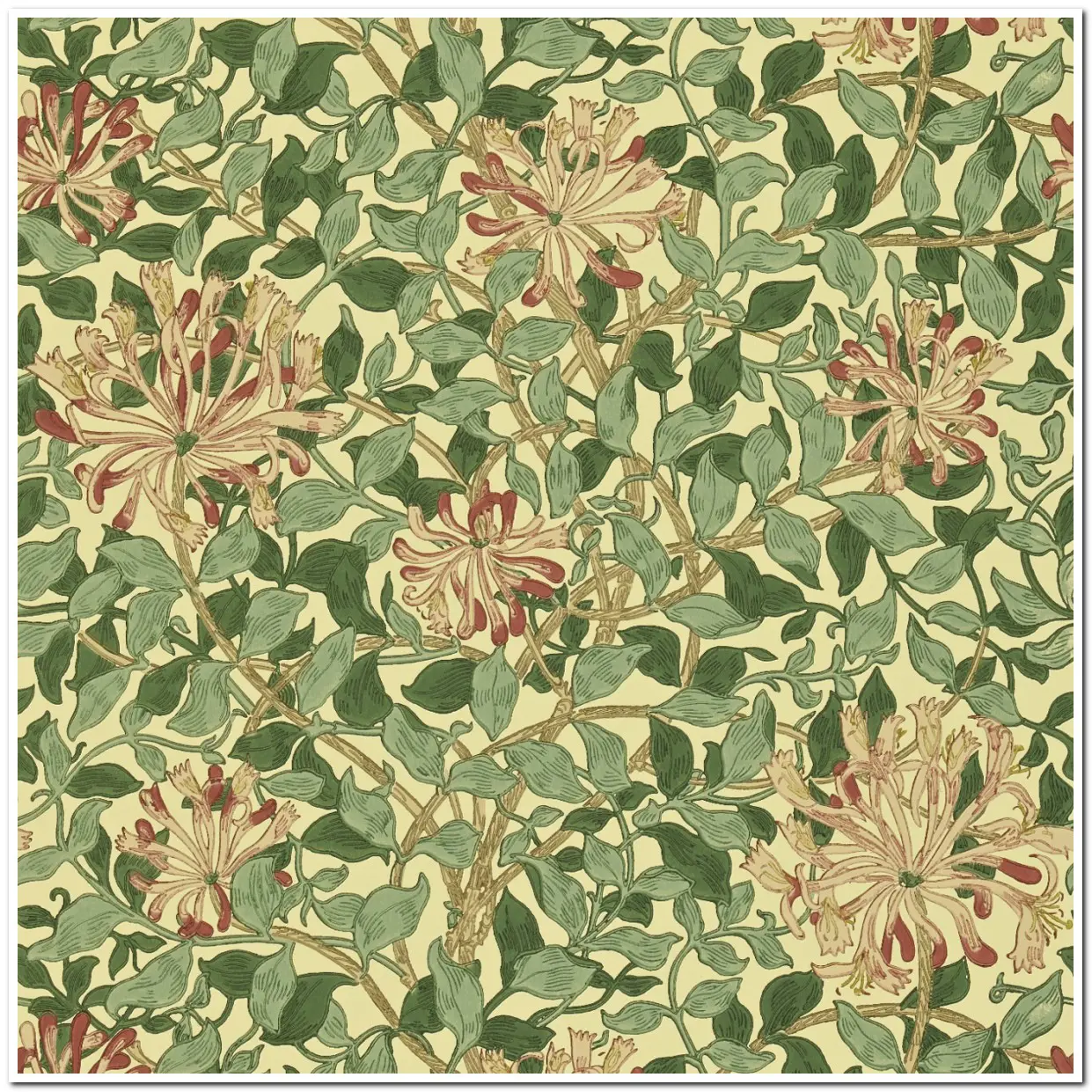 Tapet Morris Compendium I & II Honeysuckle Dmc1hs102