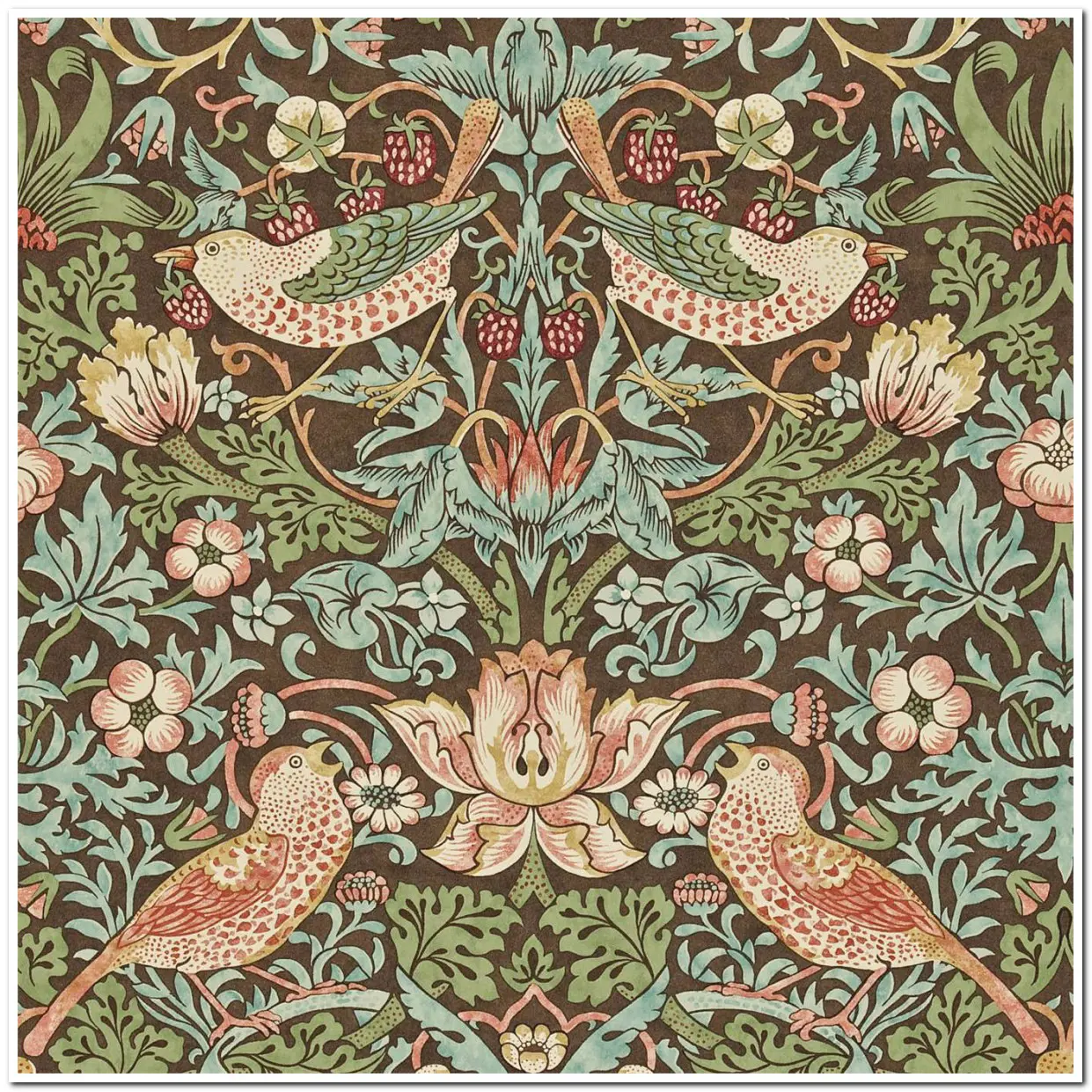 Tapet Compilation Strawberry Thief Dcmw216868