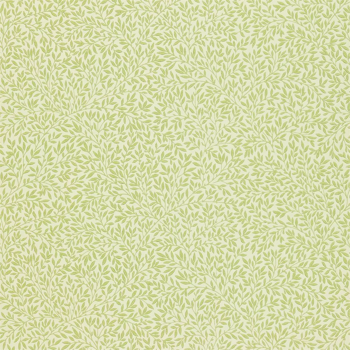 Tapet Compilation Standen Dcmw216833