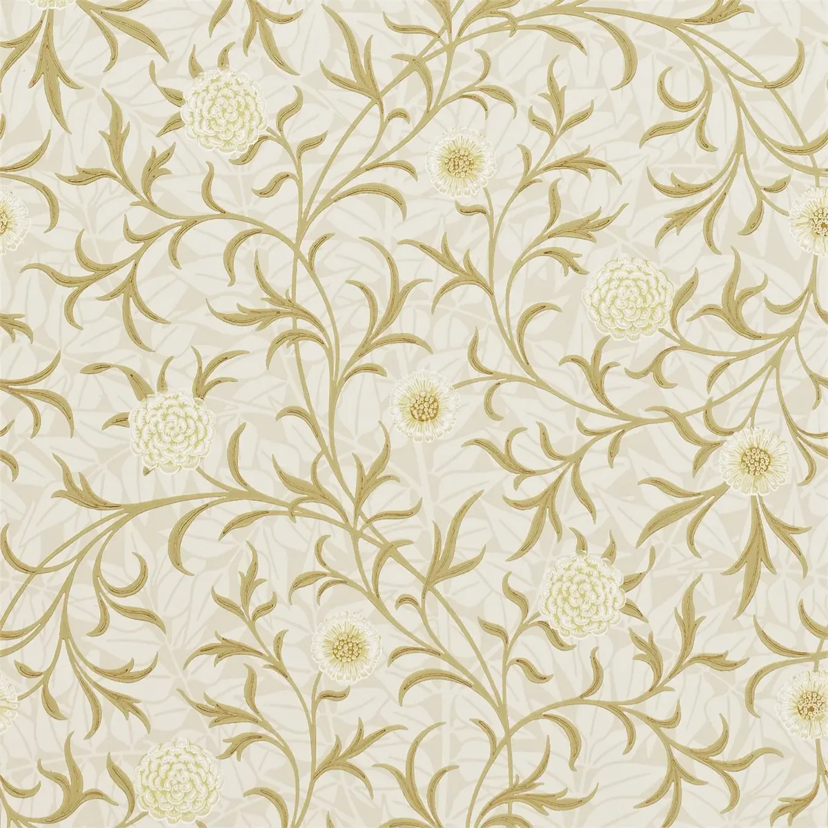 Tapet Archive Scroll Dm6p210363