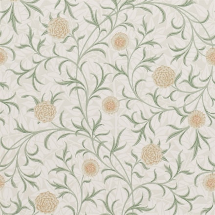 Tapet Archive Scroll Dm6p210365