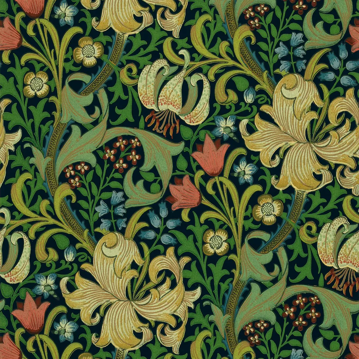 Tapet Morris Volume II Golden Lily Dmi1g3101