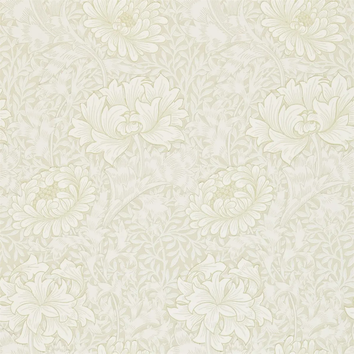 Tapet Archive II Chrysanthemum Darw212546