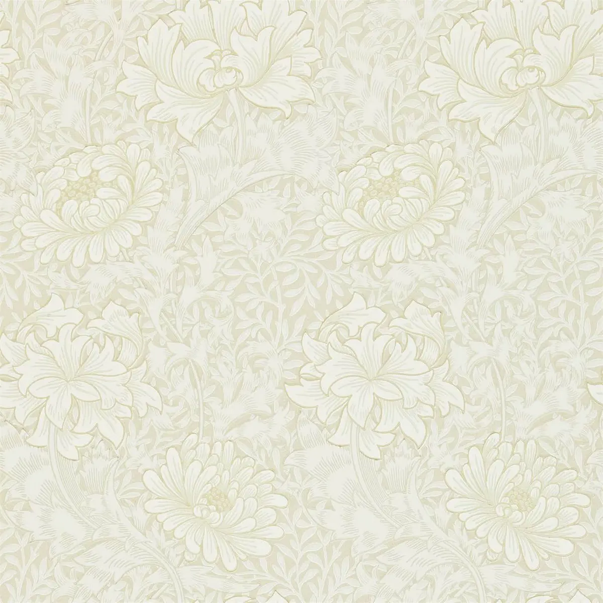 Tapet Compilation Chrysanthemum Dcmw216823