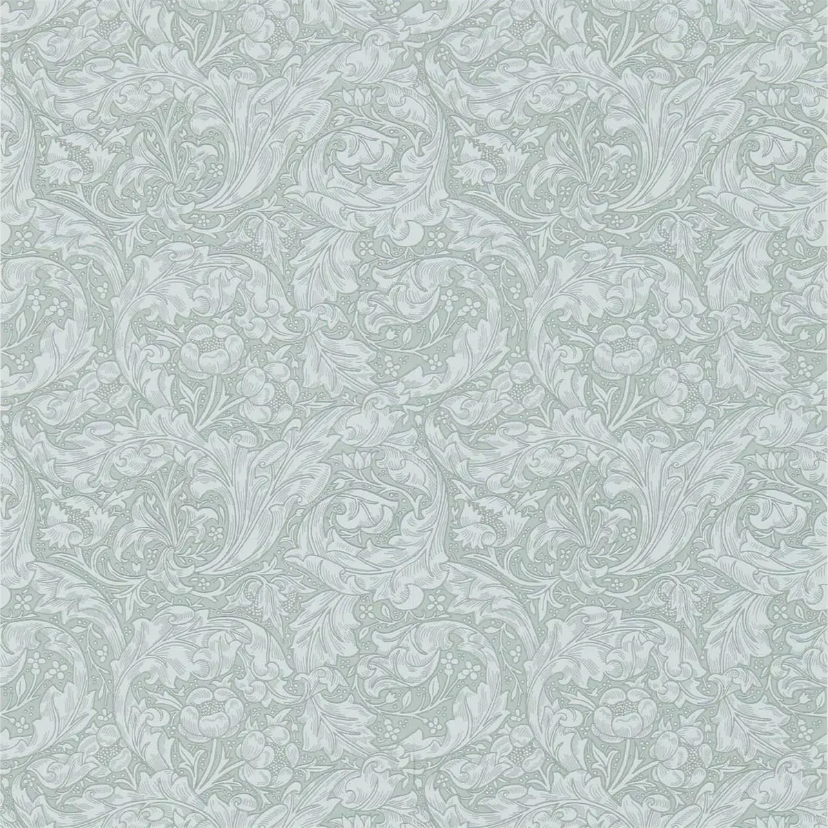 Tapet Compilation Bachelors Button Dcmw216824