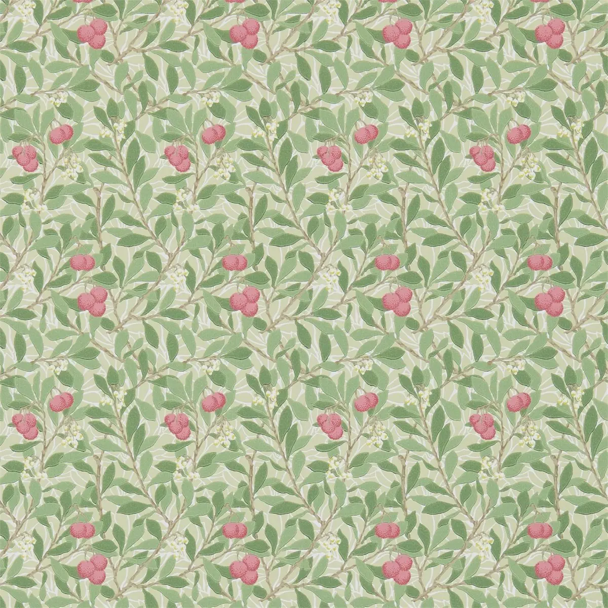 Tapet Archive III Arbutus Dm3w214720