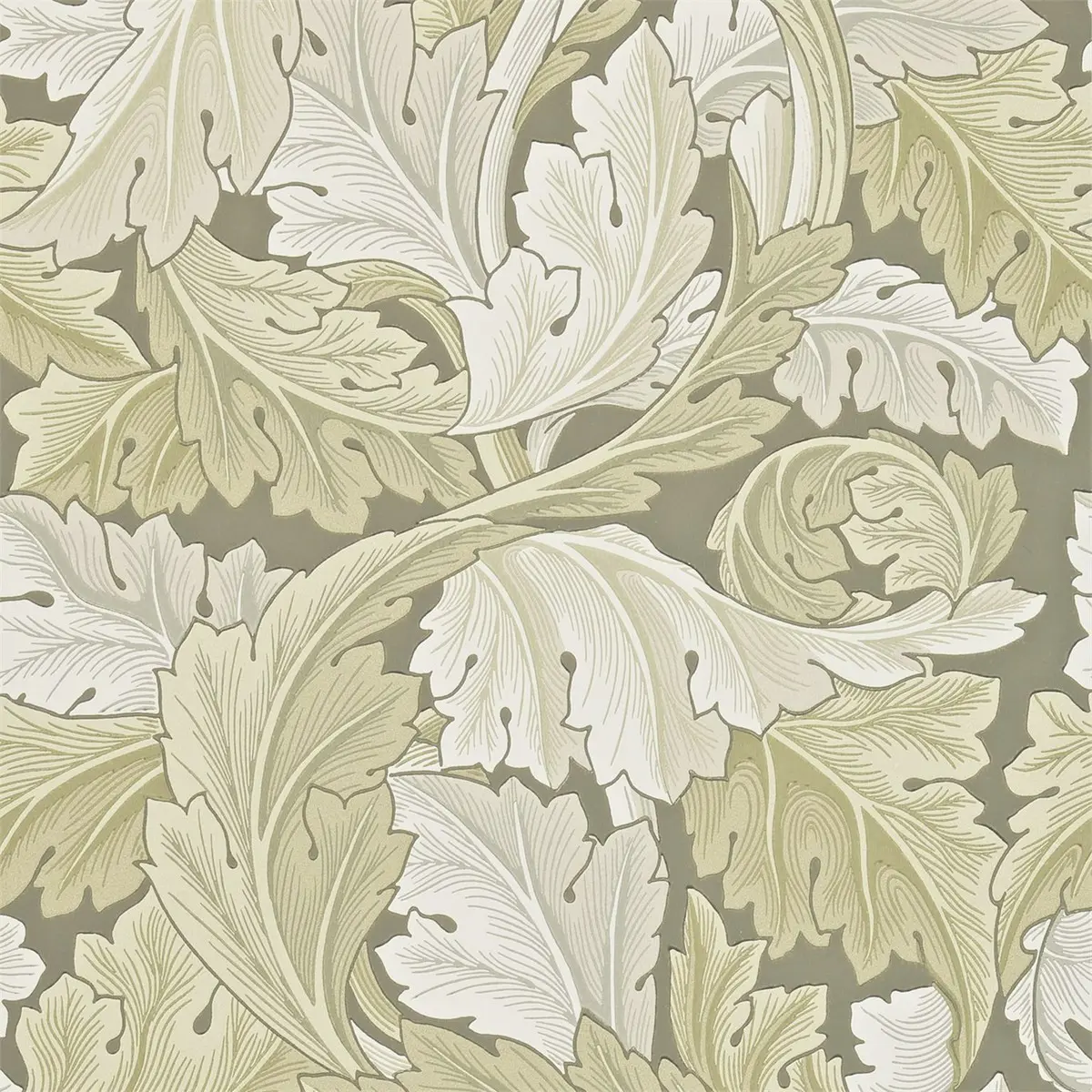 Tapet Archive II Acanthus Darw212552