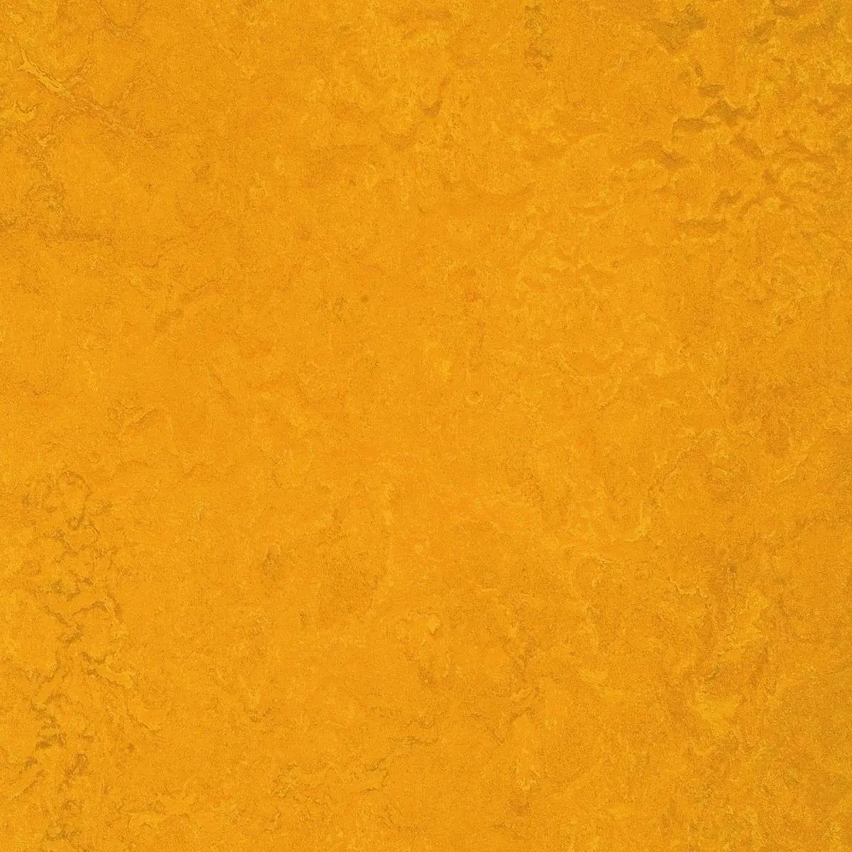 Linoleummatta Marmoleum Golden Sunset 3125 200cm