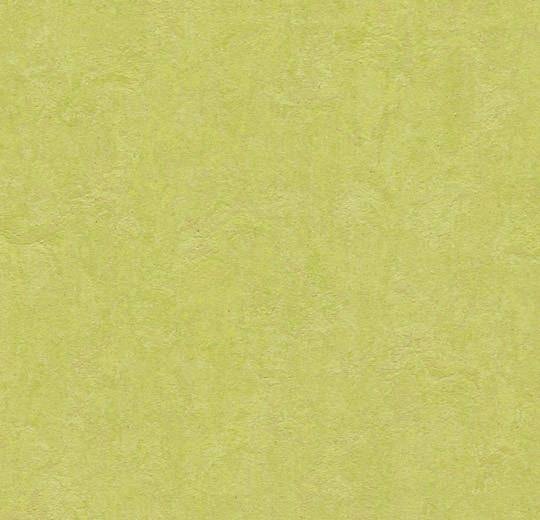 Linoleumgolv Marmoleum Click 333885 Spring Spring Buds Grå, 30x30cm