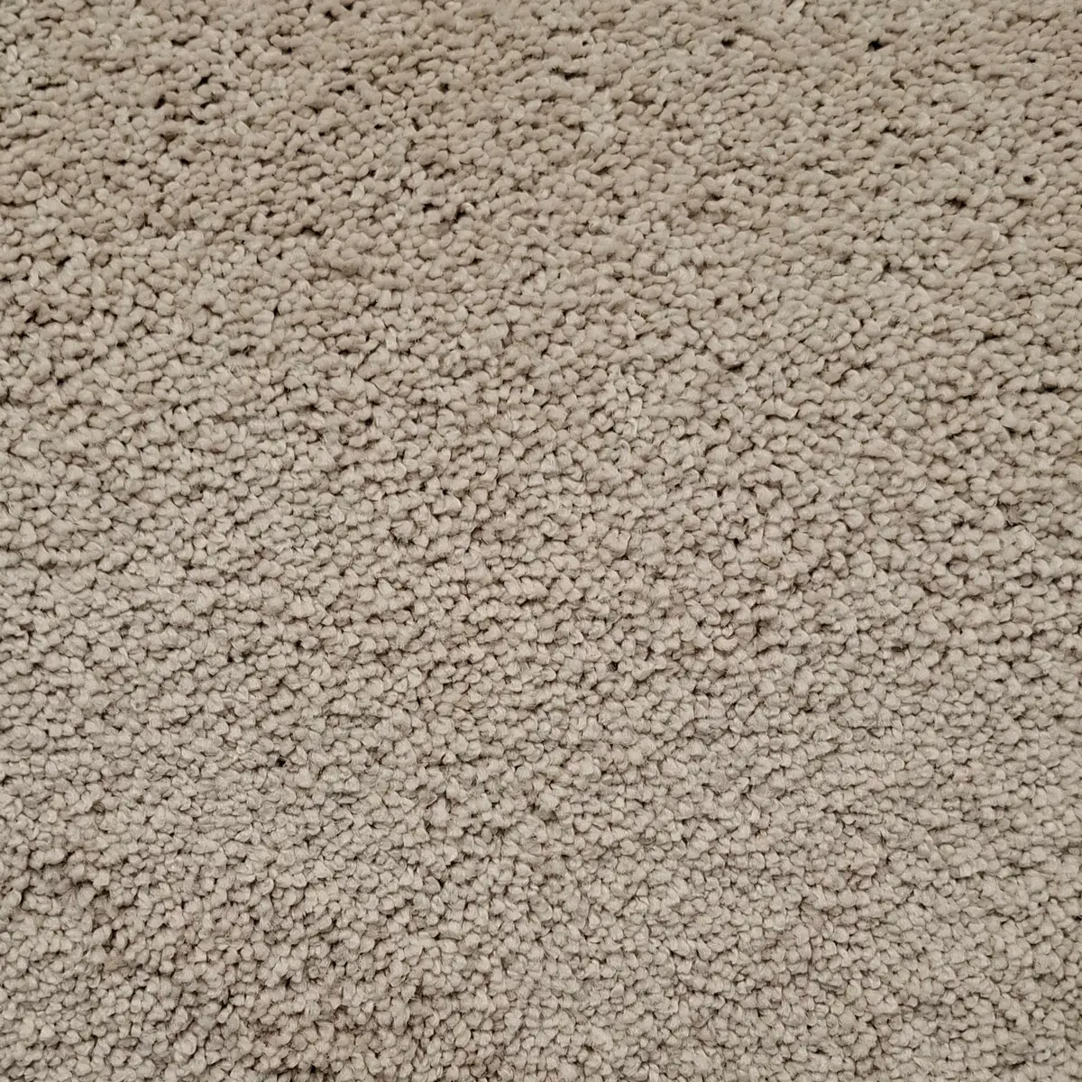 Heltäckningsmatta Excellence 61 400cm, Vit