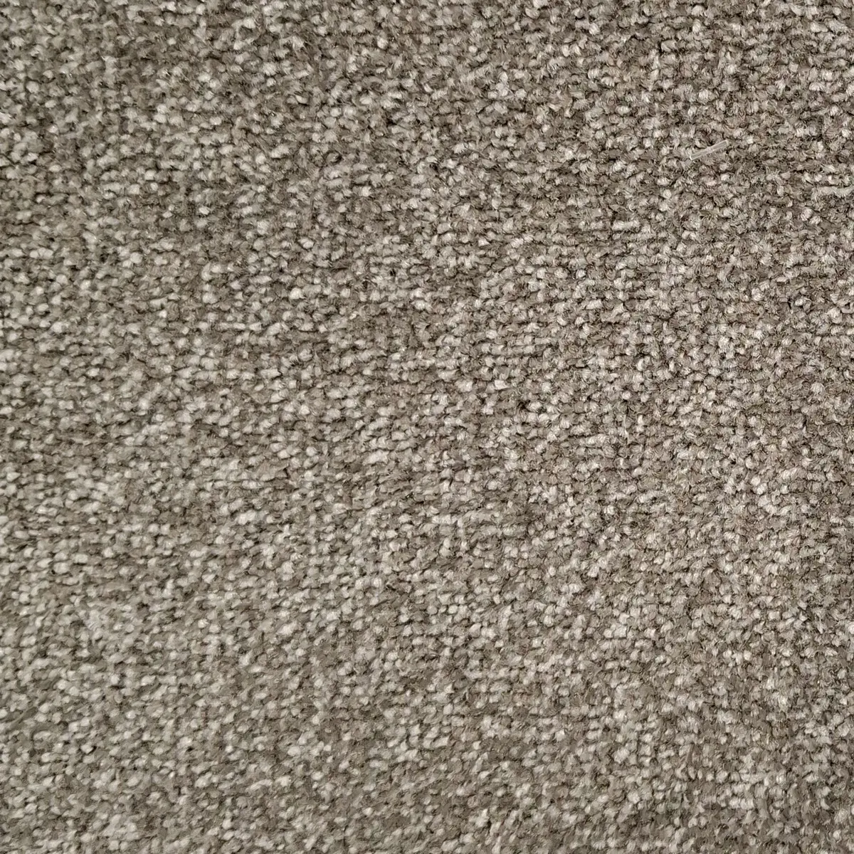 Heltäckningsmatta Startwist Edition Ash 833 400cm, Grå