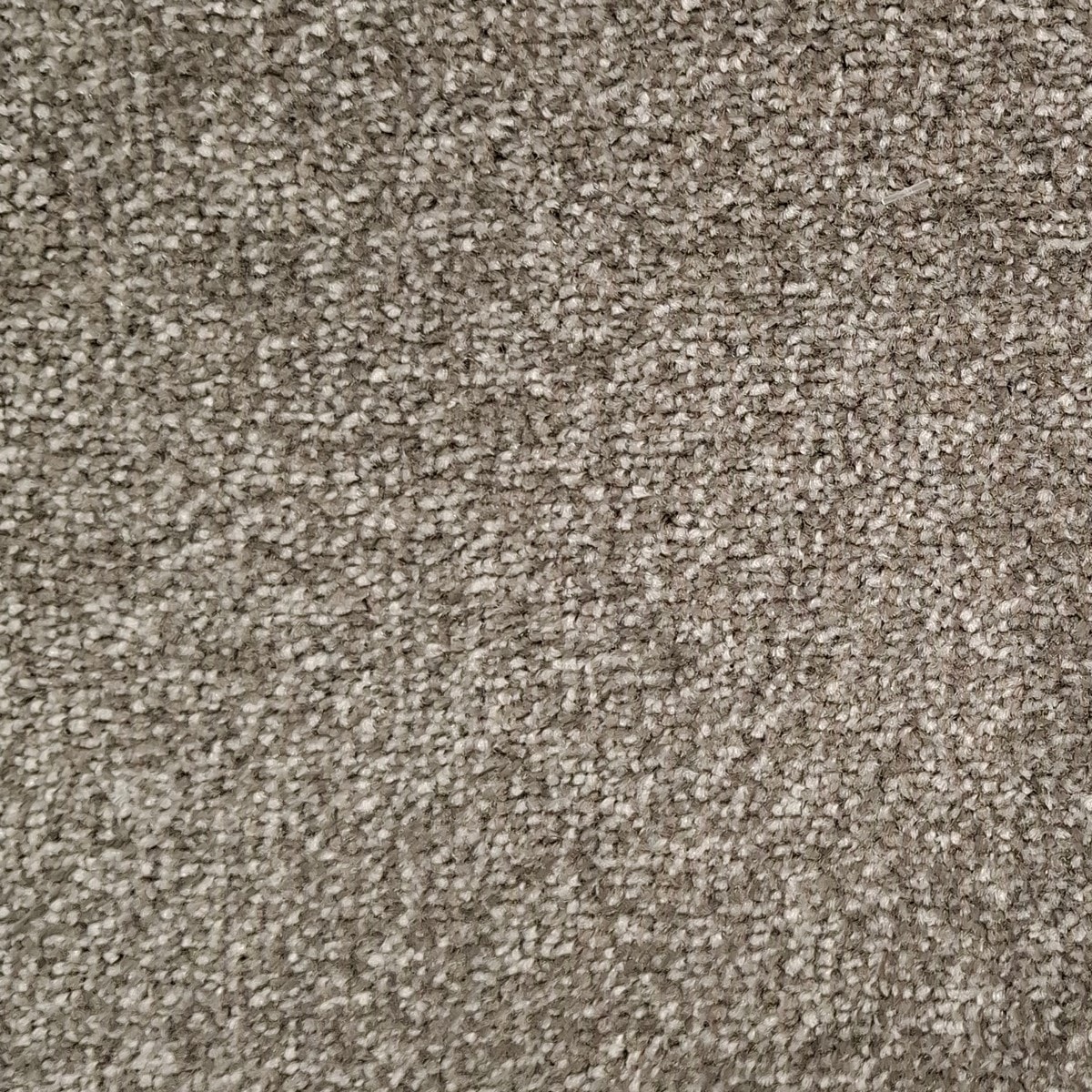 Heltäckningsmatta Startwist Edition Ash 833 400cm, Grå