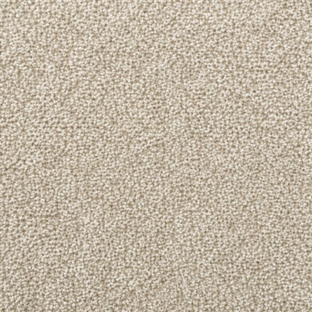 Heltäckningsmatta Startwist Edition Magnolia 3 500cm