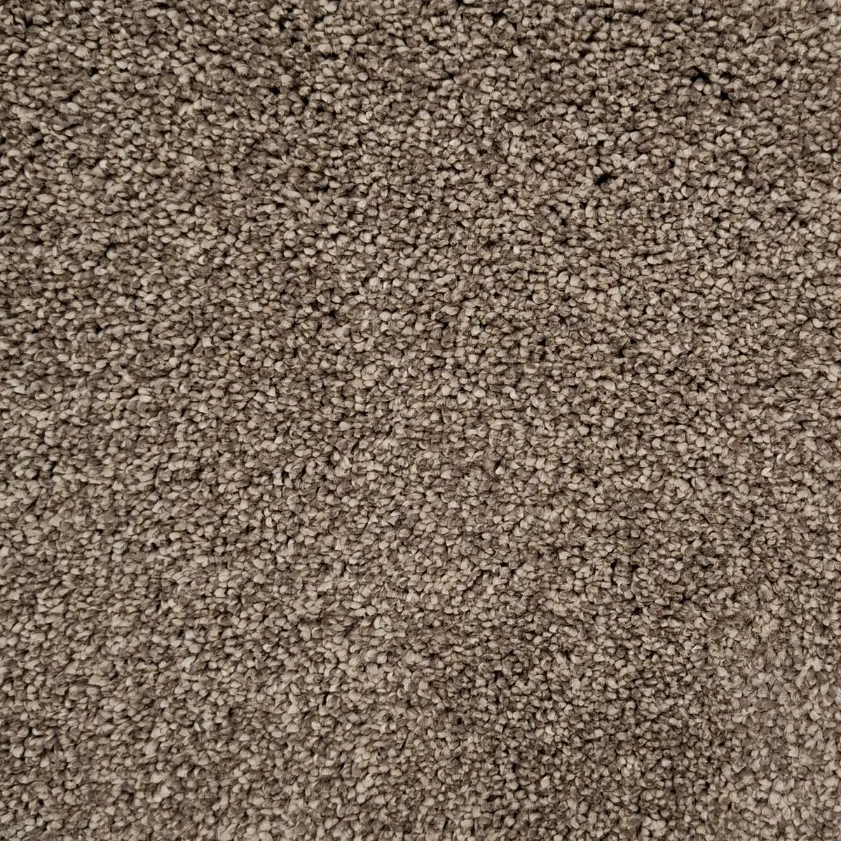 Heltäckningsmatta Inspiration Acorn 221 390cm