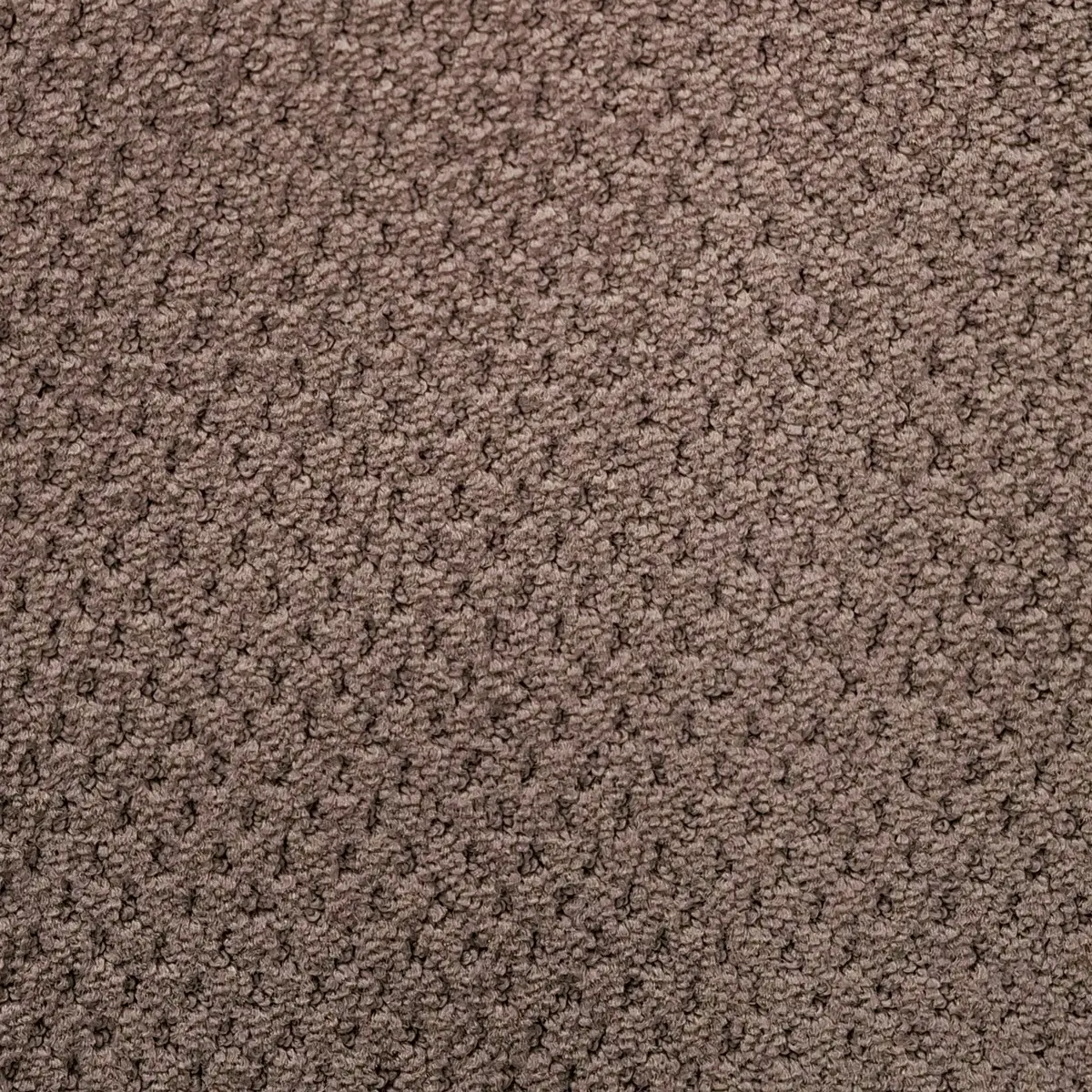 Heltäckningsmatta Carve Classic Cornstalk 400cm