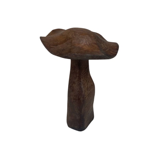 Dekoration Coprinus Medium