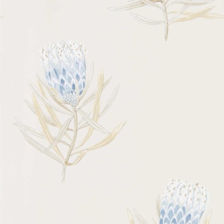 Tapet Curios Protea Flower China Blue/canvas Dart216327